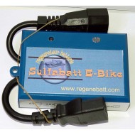 Régénérateur Batteries Vélo Électrique E-Bike 48v