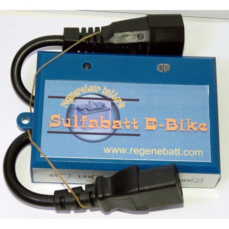 Régénérateur Batteries Vélo Électrique E-Bike 48v